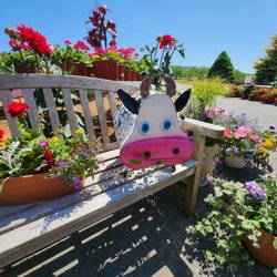 Scott's Orchard & Nursery