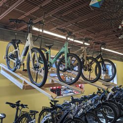 The Freewheel - Ebikes on ebikes in stock!