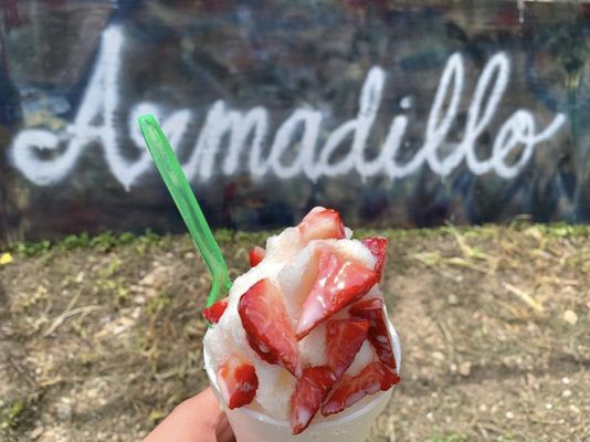 Armadillo Snow Cones by null