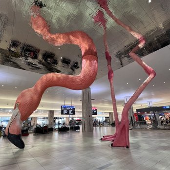 TAMPA INTERNATIONAL AIRPORT - Updated December 2024 - 2803 Photos