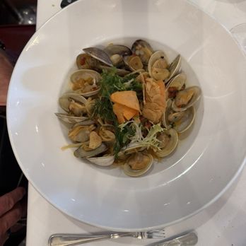 Bistro Du Marché - Seafood with a light saffron sauce - French Near Me - La Jolla, California Bistro Du Marché - Seafood with a light saffron sauce - French Near Me - La Jolla, California