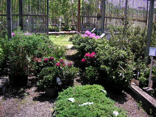 Plantscapes of Oregon by null