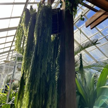 Volunteer Park - Parks Near Me - Seattle, Washington