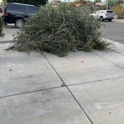 Junk Away - Trimmings to be hauled away