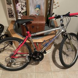 Kozy's Cyclery - Full restore from Kozy's