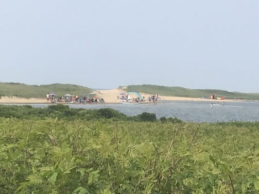 Long Point Wildlife Refuge by null