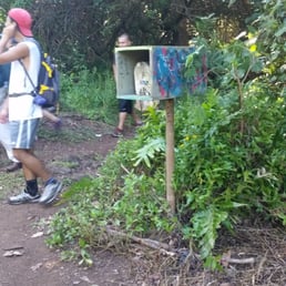 When you see this mailbox,  look to the right. Trail starts there.