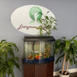 Evergreen Massage