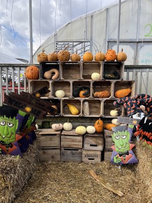 Frank's Produce & Greenhouse by null