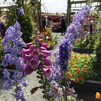 The Flower Fields - Venues & Event Spaces Near Me - Carlsbad, California