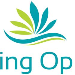 Healing Options