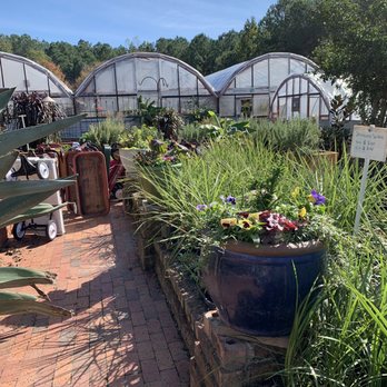 Big Bloomers Flower Farm - Path to the greenhouses - Nurseries & Gardening Near Me - Sanford, North Carolina Big Bloomers Flower Farm - Path to the greenhouses - Nurseries & Gardening Near Me - Sanford, North Carolina