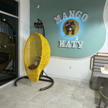 Mango Mango Dessert - Katy - Desserts Near Me - Katy, Texas