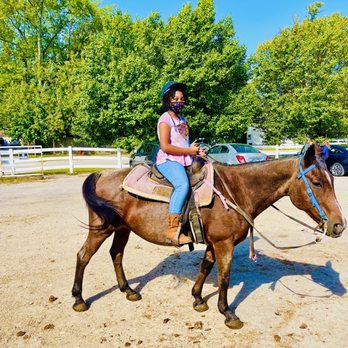 Forest View Farms - Horse Boarding Near Me - Tinley Park, Illinois Forest View Farms - Horse Boarding Near Me - Tinley Park, Illinois