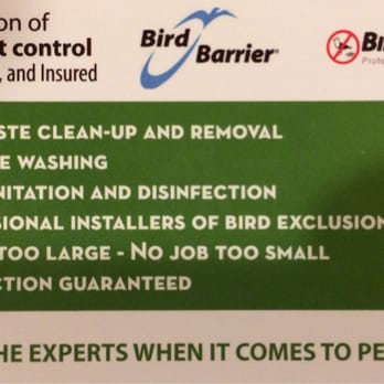 The Pigeon Specialist - Pest Control Near Me - Las Vegas, Nevada The Pigeon Specialist - Pest Control Near Me - Las Vegas, Nevada