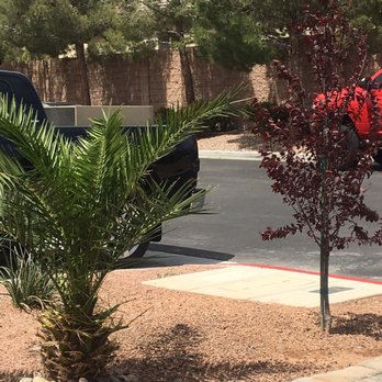 Soto’s Tree Services - Tree Services Near Me Soto’s Tree Services - Tree Services Near Me