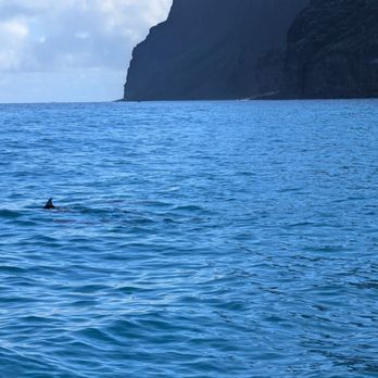 Catamaran Kahanu - Spinner dolphins - Boating Near Me - Eleele Kauai, Hawaii Catamaran Kahanu - Spinner dolphins - Boating Near Me - Eleele Kauai, Hawaii