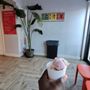 Everyday Sundae