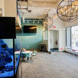 Pediatric Dental Associates - Park Ridge - Inside