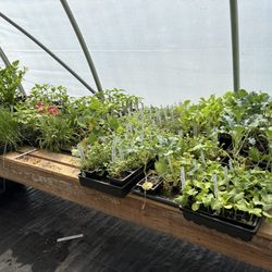 Wheels A Turnin garden Supply