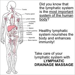 Remedy Massage Therapy
