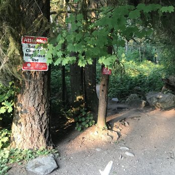 Cherry Creek Falls Trail - Hiking Near Me - Duvall, Washington