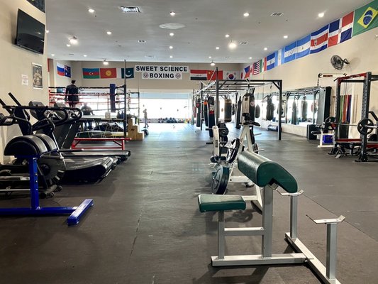 Sweet Science Boxing & MMA by null