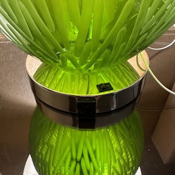 Mountain Valley Lodge - Worthless lamp plug that doesn't function - Hotels Near Me - Hailey, Idaho Mountain Valley Lodge - Worthless lamp plug that doesn't function - Hotels Near Me - Hailey, Idaho