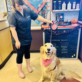 PetSmart - Jeanel & Daisy - Pet Groomers Near Me - Las Vegas, Nevada PetSmart - Jeanel & Daisy - Pet Groomers Near Me - Las Vegas, Nevada