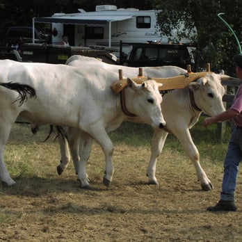 Stratham Fair - Festivals Near Me - Stratham, New Hampshire