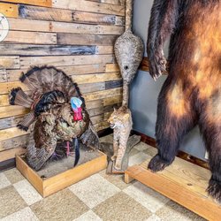 Neil's Barber Shop - Wildlife Decoration