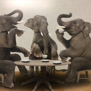 PM Pediatrics - Waiting room art - Pediatricians Near Me - Yonkers, New York PM Pediatrics - Waiting room art - Pediatricians Near Me - Yonkers, New York