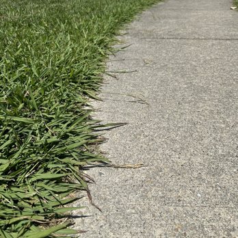 Home & Land Repairs - Claimed that he didn't need to trim a city sidewalk.  My follow up question is who does he think trims the sidewalk? - Handyman Near Me