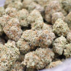 Johnny U's Medical Collective - Gelato