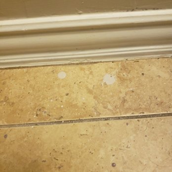 Carnival Custom Painting - More paint splatters left of the floor - Painters Near Me - Allen, Texas Carnival Custom Painting - More paint splatters left of the floor - Painters Near Me - Allen, Texas