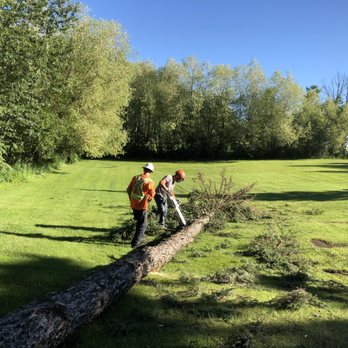 Vertical Limits Tree Care - Tree Services Near Me - Red Deer, Alberta Vertical Limits Tree Care - Tree Services Near Me - Red Deer, Alberta