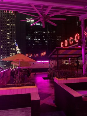 Coconut Club by null