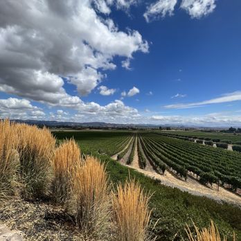 Gloria Ferrer Winery - View - Wineries Near Me - Sonoma, California