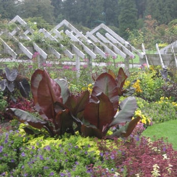 Stanley Park - Parks Near Me - Vancouver, British Columbia Stanley Park - Parks Near Me - Vancouver, British Columbia
