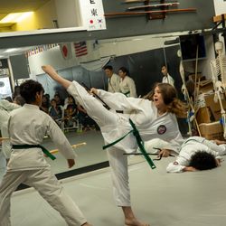 Dragon and Crane Dojo - 5 year anniversary open house - spin kick