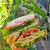 Sandwich Emporium gift card