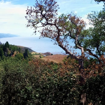 Nepenthe - New American Near Me - Big Sur, California Nepenthe - New American Near Me - Big Sur, California