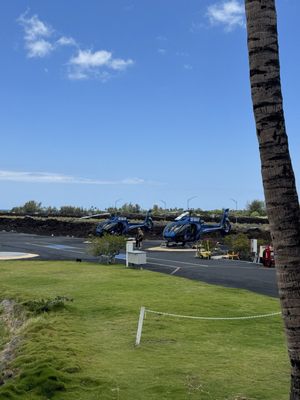 Blue Hawaiian Helicopters by null