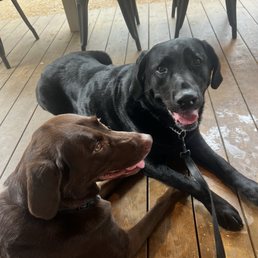 Pet friendly patio