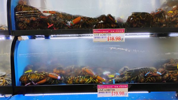 H Mart by null
