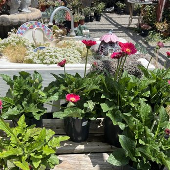 M & M Nursery - Nurseries & Gardening Near Me - Orange, California M & M Nursery - Nurseries & Gardening Near Me - Orange, California