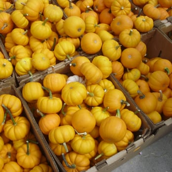 Lincoln Square Ravenswood Apple Fest - Festivals Near Me - Chicago, Illinois Lincoln Square Ravenswood Apple Fest - Festivals Near Me - Chicago, Illinois