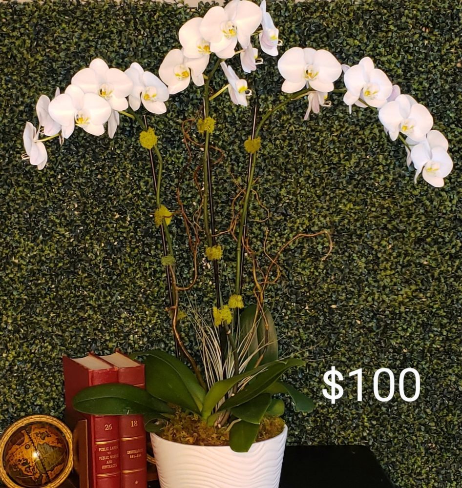 LILLYS ORCHIDS Request Information 11 Photos Coral Gables