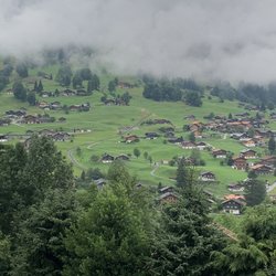 Jungfrau Lodge, Annex Crystal - View from Front Door