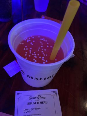 The Nashville Palace by null